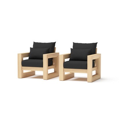 Benson™ Set of 2 Sunbrella® Outdoor Club Chairs - Canvas Black