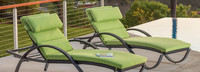 Deco™ Set of 2 Sunbrella® Outdoor Chaise Lounges - Ginkgo Green