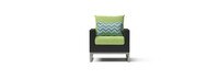 Milo Set of 2 Sunbrella Outdoor Espresso Club Chairs - Ginkgo Green